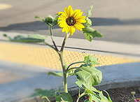 �C���[�W01